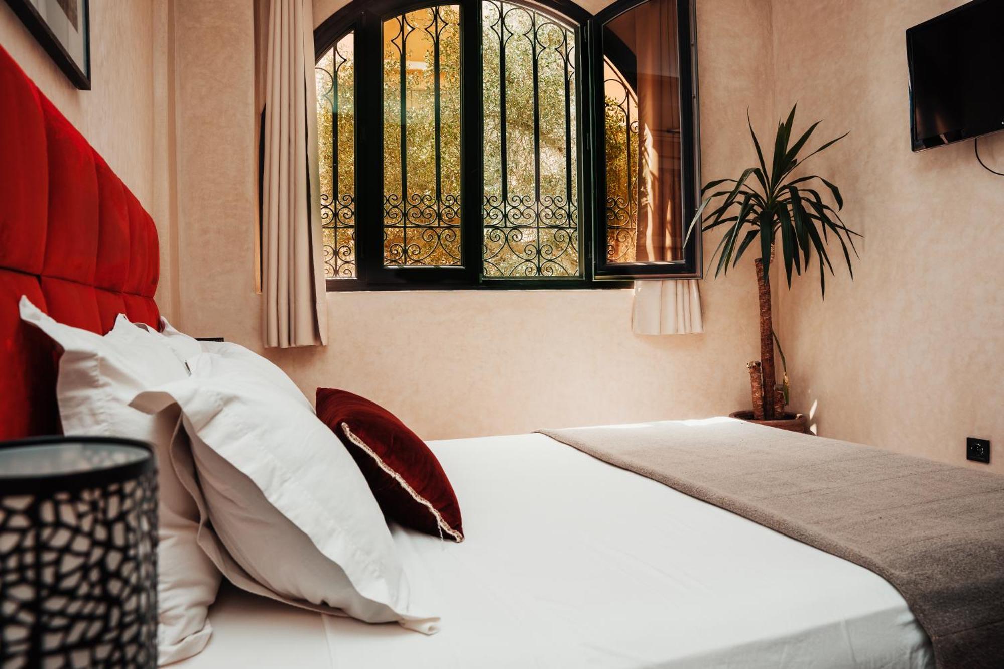Auberge Riad Dlim Tamraght エクステリア 写真